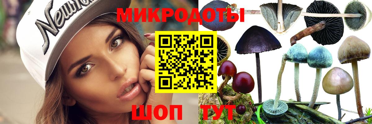 Галлюциногенные грибы мухоморы  Камень-на-Оби 