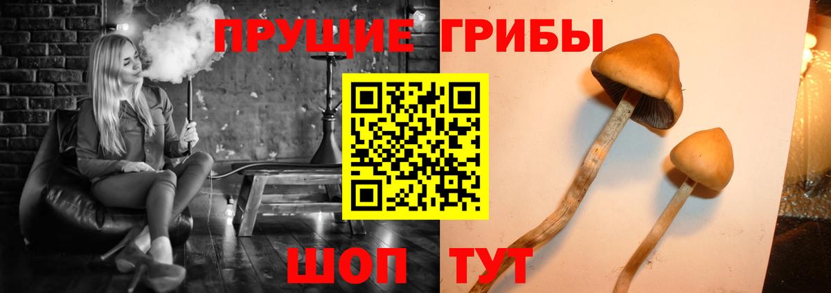 Псилоцибиновые грибы MAGIC MUSHROOMS Камень-на-Оби